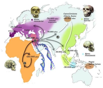 distribución de especies
