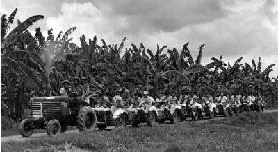Trabajadores de la United Fruit Company
